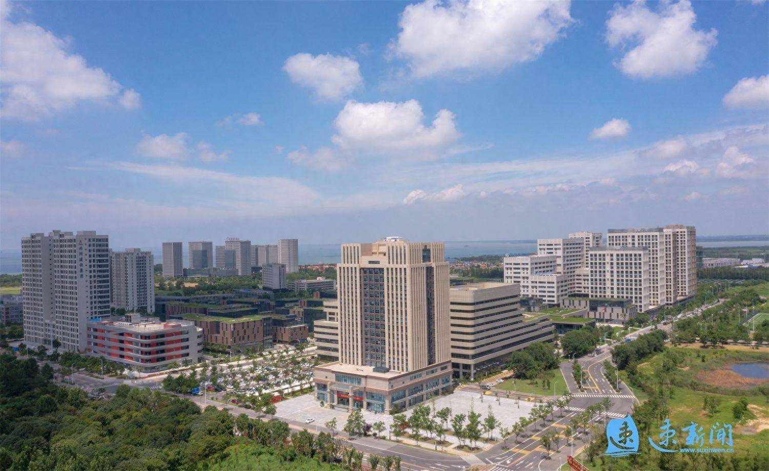 市湖滨新区:创建名师名品工作室助力打造全市教育高地_发展_教学_交流学习