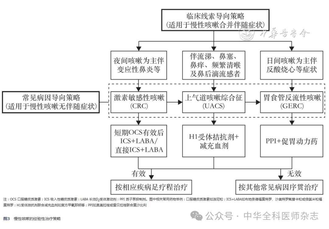【基层常见疾病诊疗指南】中国咳嗽基层诊疗与管理指南（2024年）