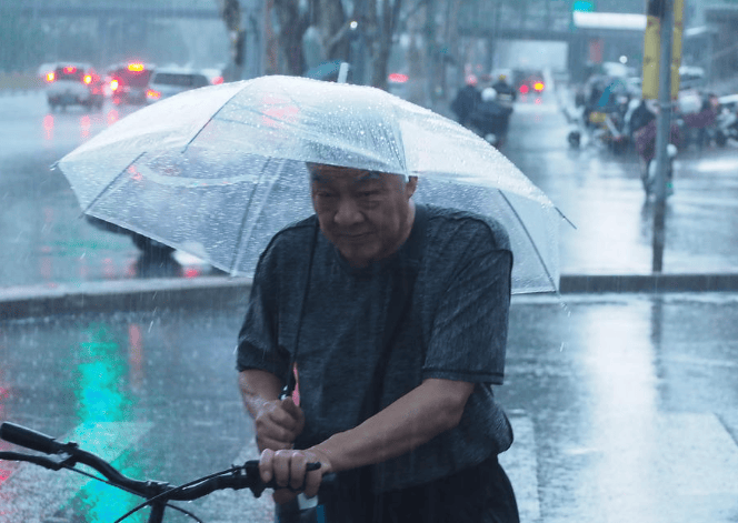 奔波 风雨中图片