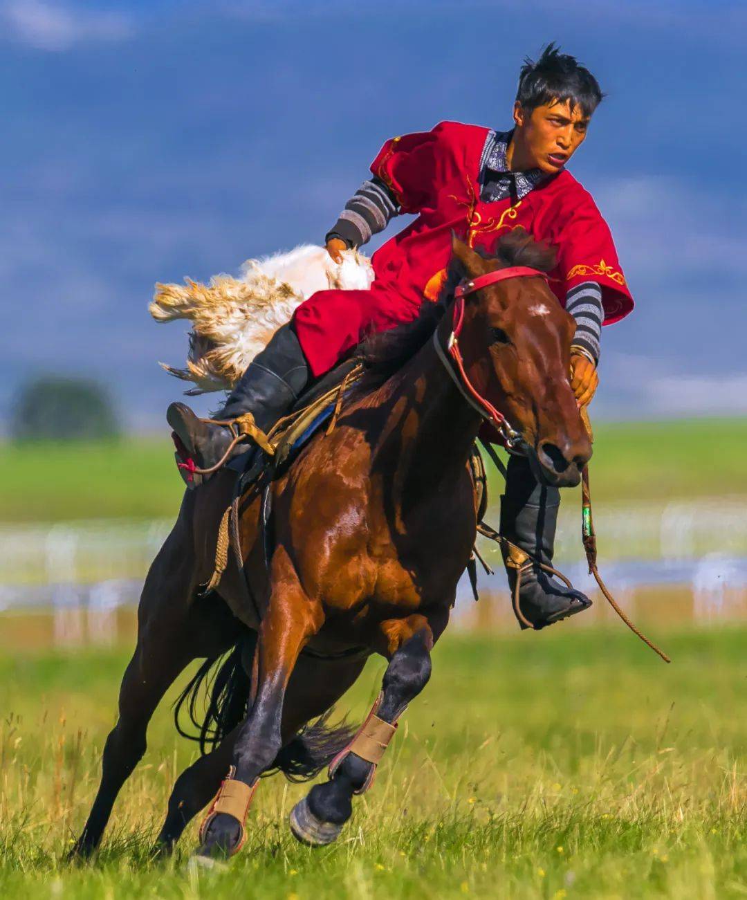 在"天马"的故乡,"速度与激情"即将上演