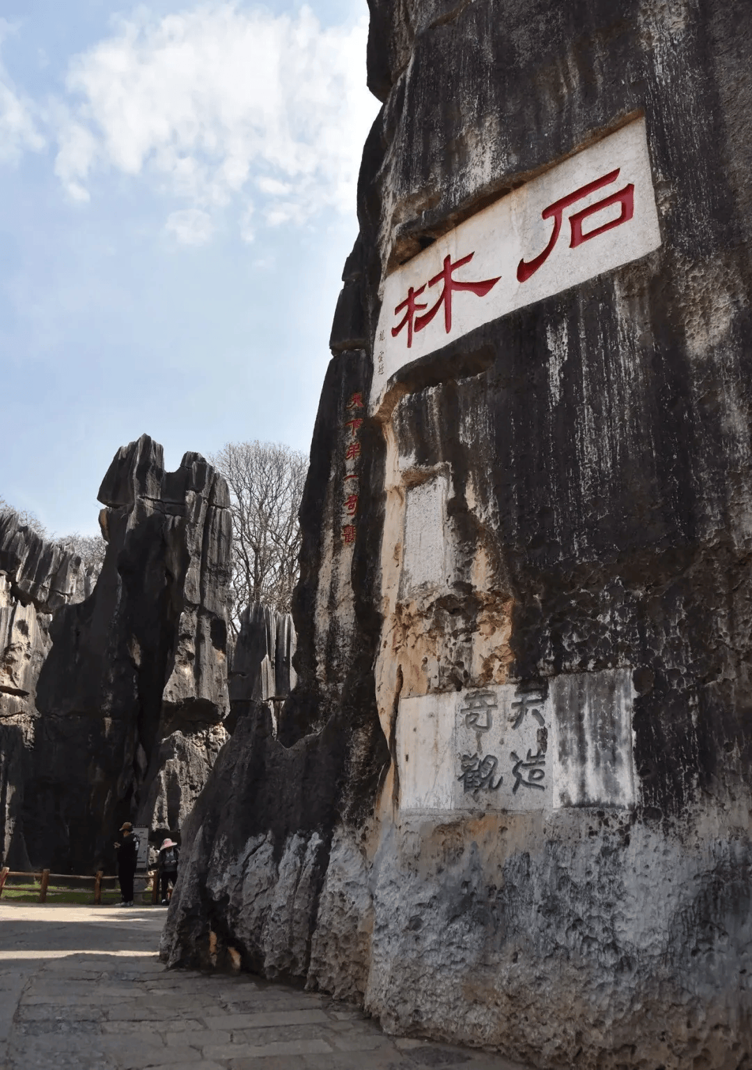 四川石林风景区图片