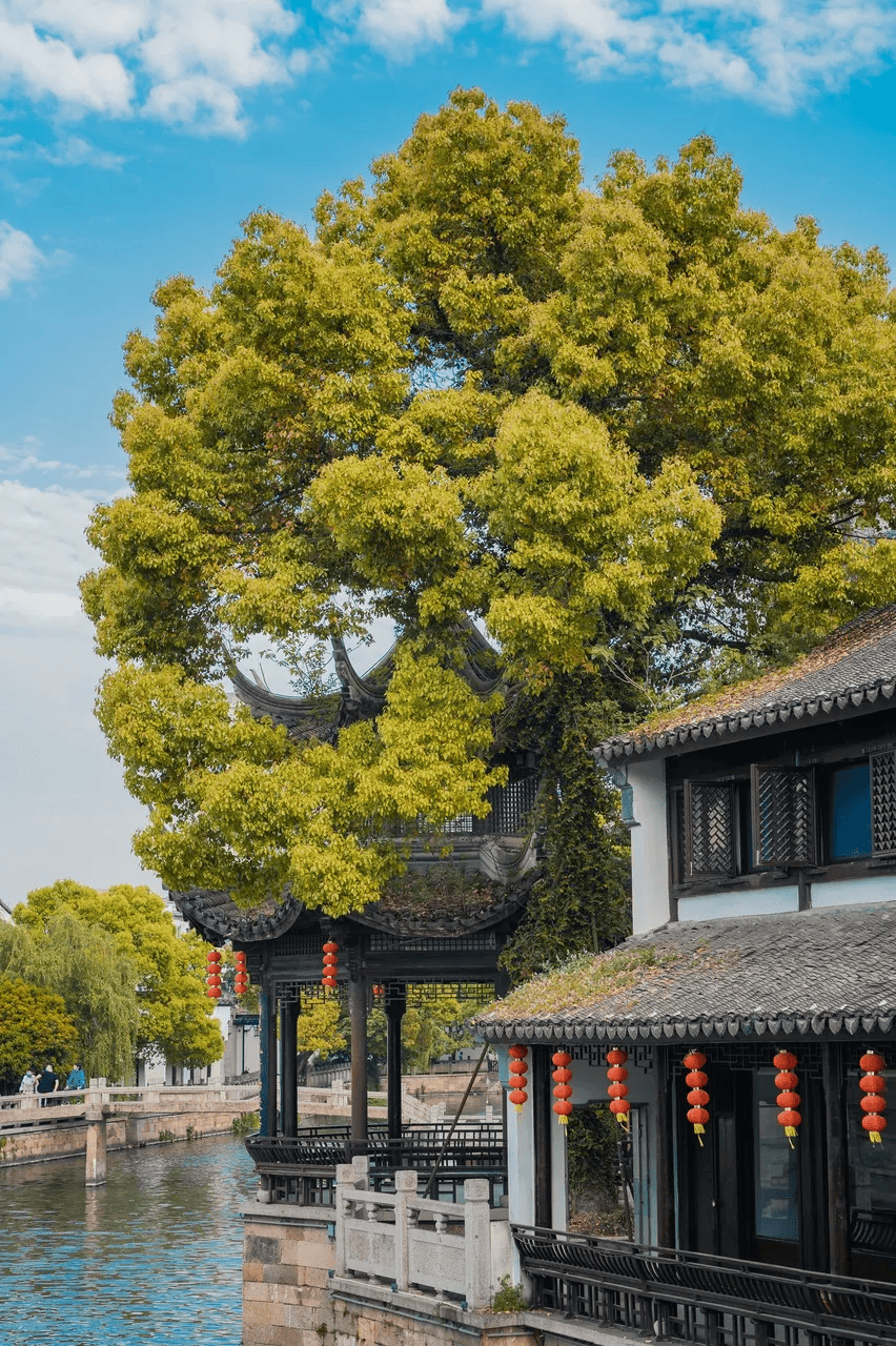 中国最爽城市,苏轼挚爱,还藏着永久免费的5a级古镇,不输乌镇