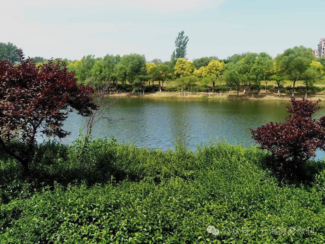 【漫行潍坊】北辰湿地公园