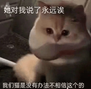 猫咪到底是不是亲生的？看完网友们晒出的亲生证据，直接笑喷