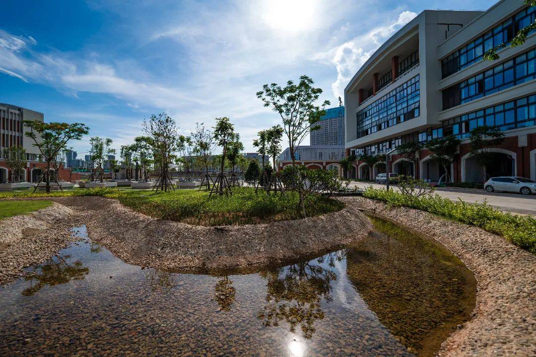 双十翔安校区丘班师资团队全新亮相!_教学_厦门市_比赛