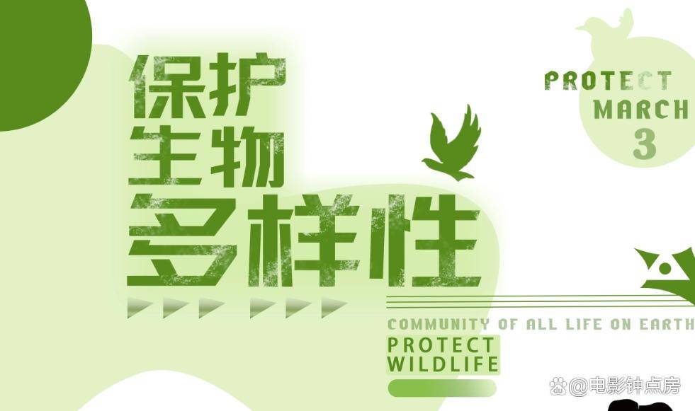 国际生物多样性日pp模板,保护动植物,爱护环境主题ppt