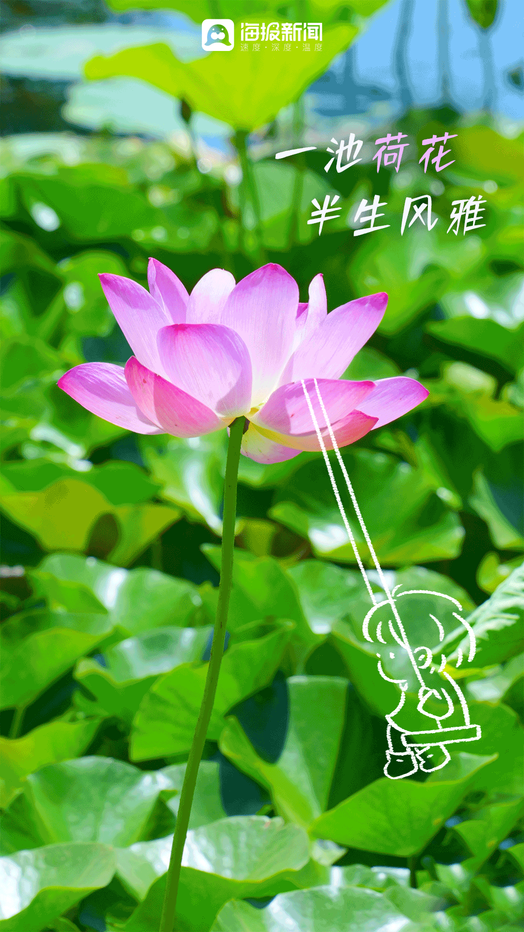1080_1920竖版 竖屏gif 动态图 动图