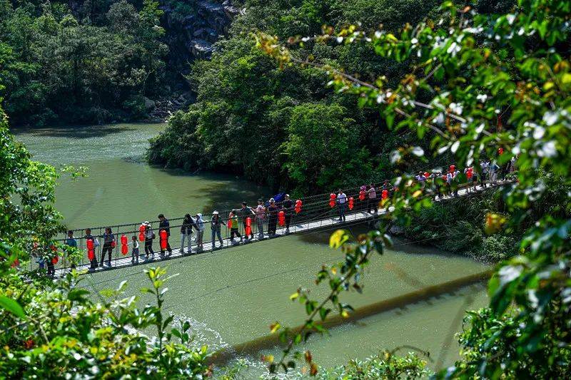 九鲤湖的夏天是凉爽的,进入景区沿着湖边漫步,湖边的串钱柳与微风翩翩