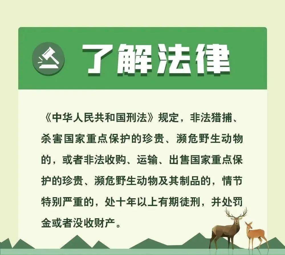 河源一男子非法抓捕野生动物被抓!