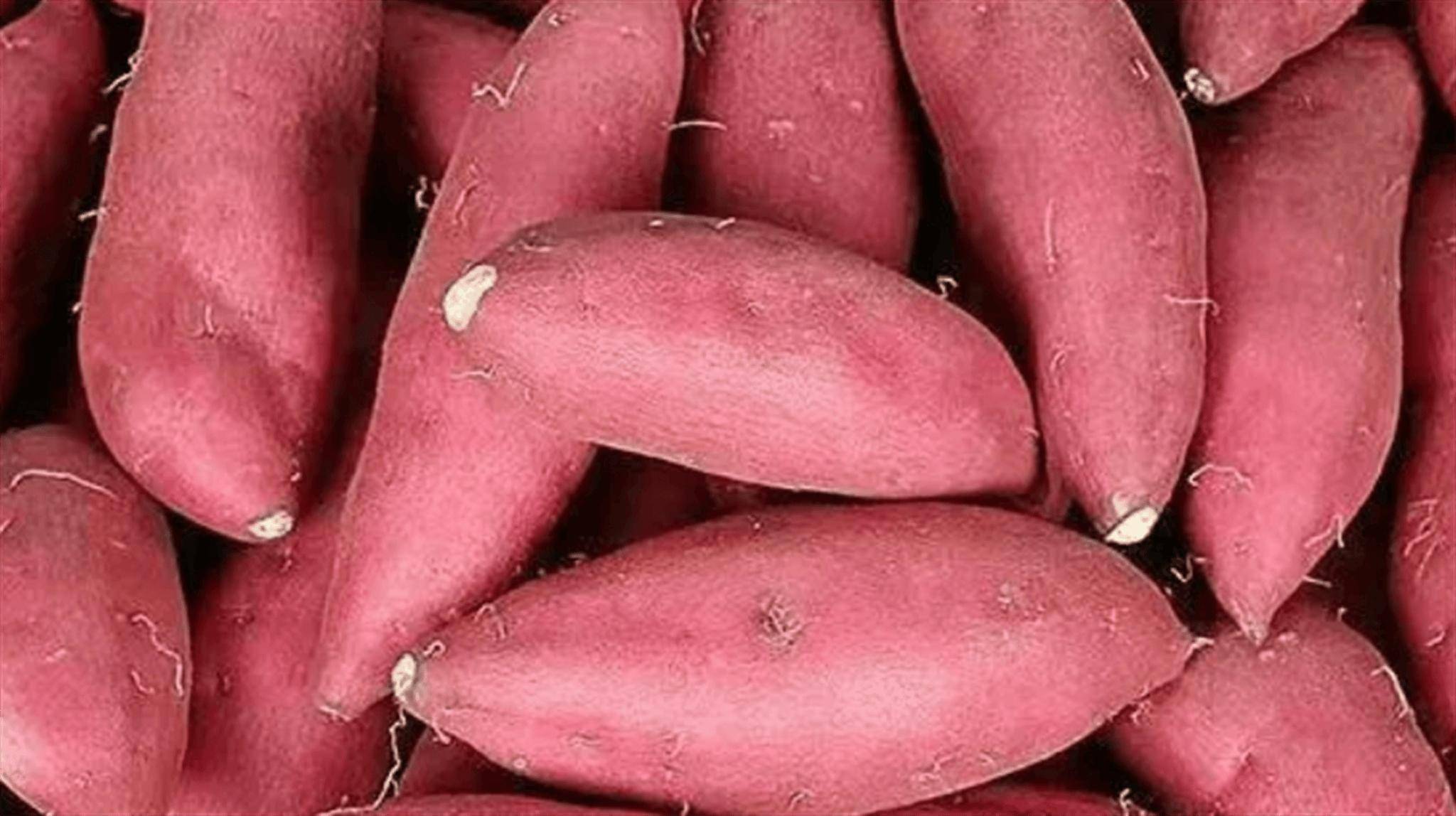 地瓜可以生吃吗?揭开地瓜生食的真相