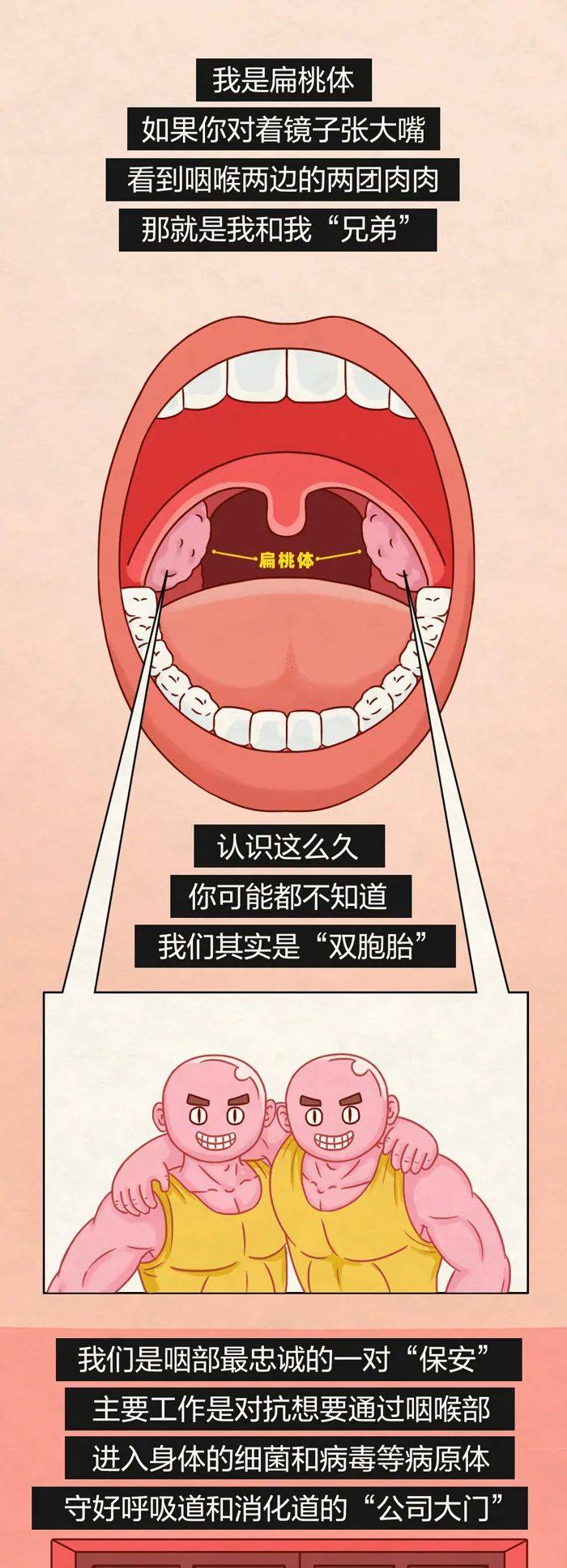 扁桃体淋巴瘤图片