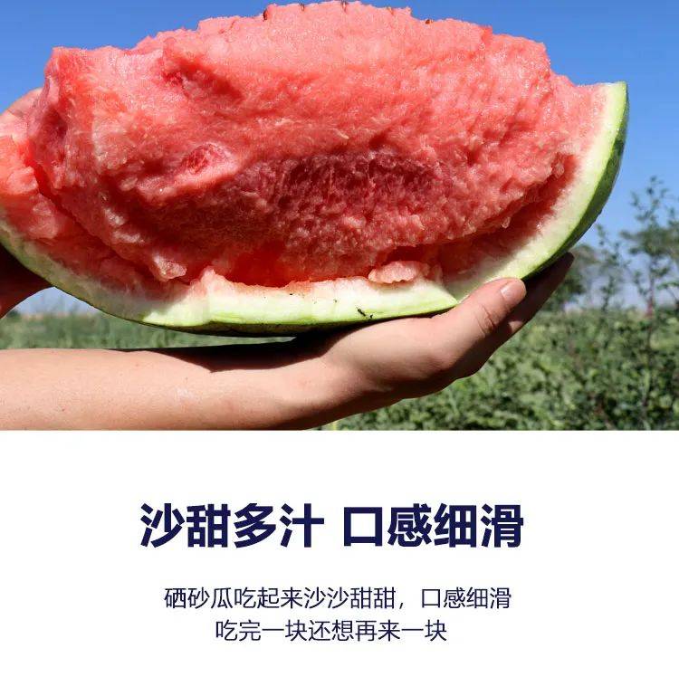 【银座钢城店】坚韧不屈的宁夏硒砂瓜,已冲破砂石的阻力,抵达银座超市