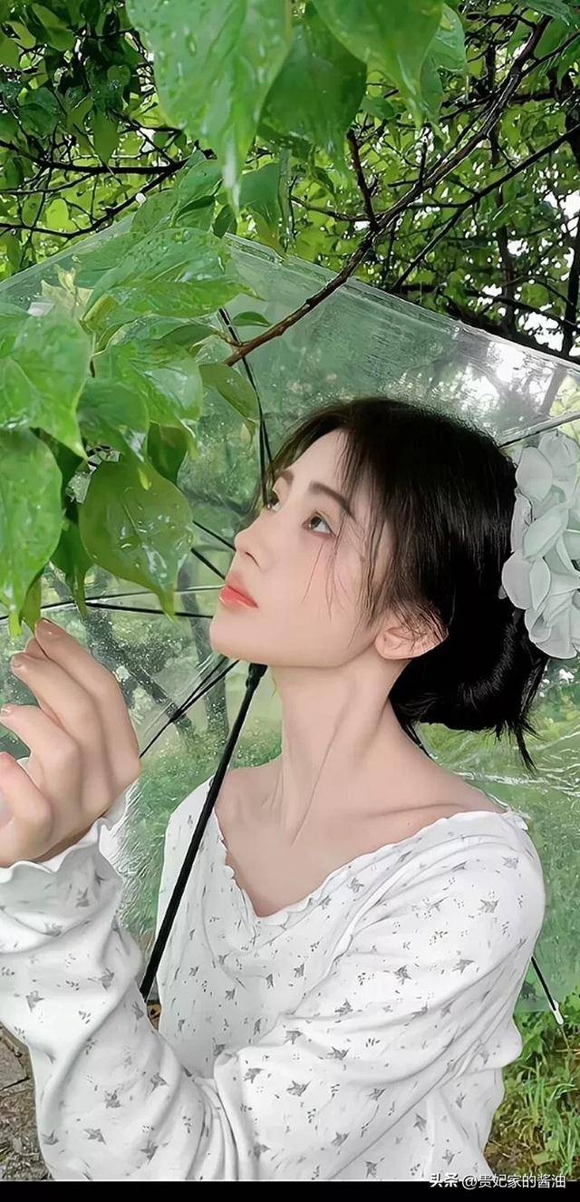 鞠婧祎明星演员——第二部