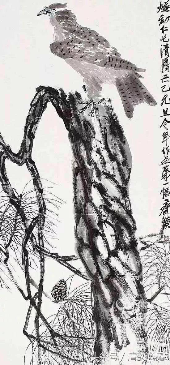 霸气十足的松鹰图!