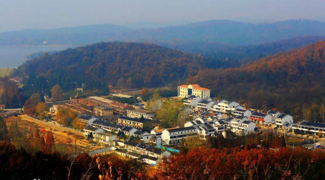 来全椒,实现朋友圈"精装修"丨520安徽文旅惠民消费季_儒林_旅游_小时