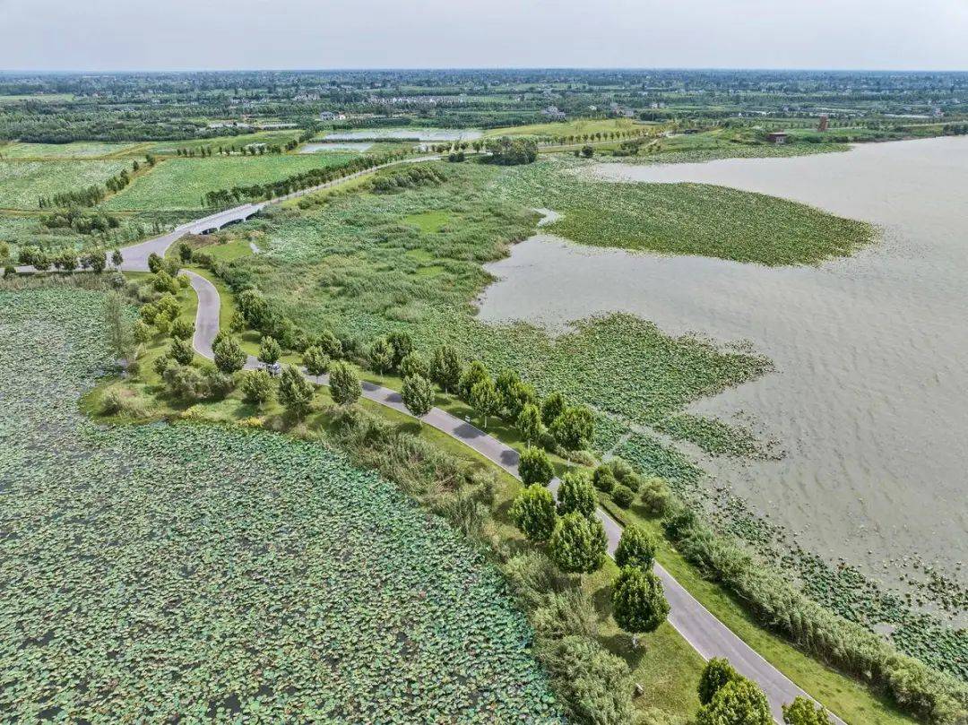 宜昌这个湖,何以成"金湖"?