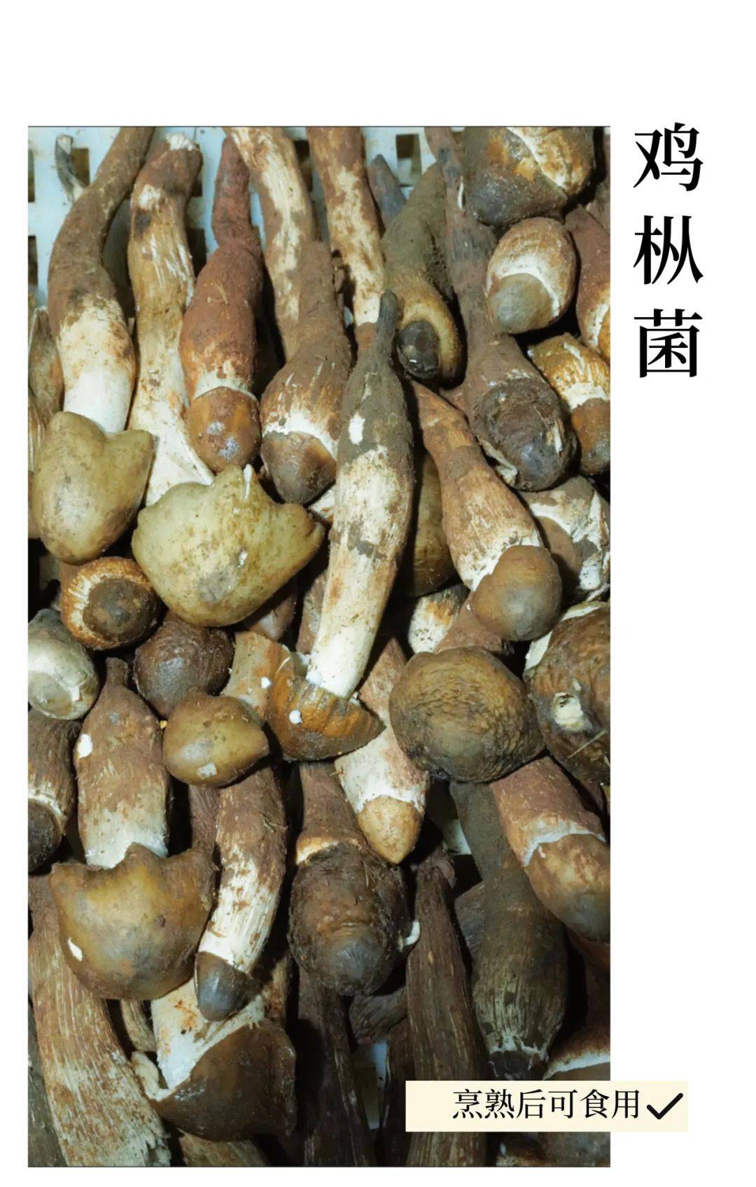 优化思维的培养_养成良好的思维方式_分享养成seo优化思维的方法