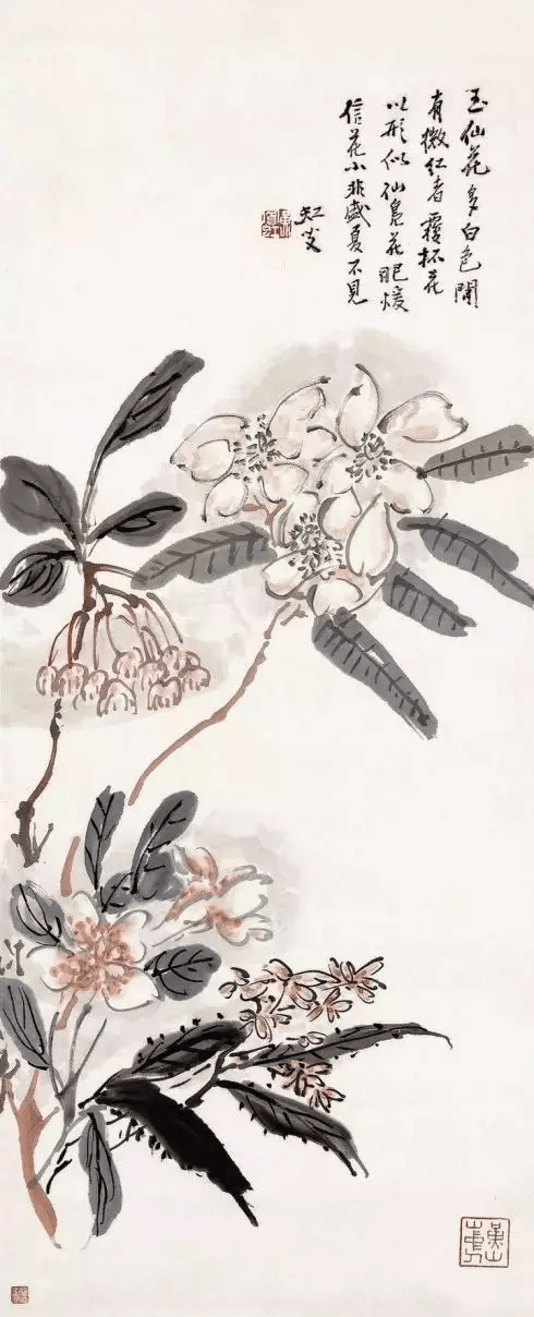 黄宾虹的花卉清雅芬芳