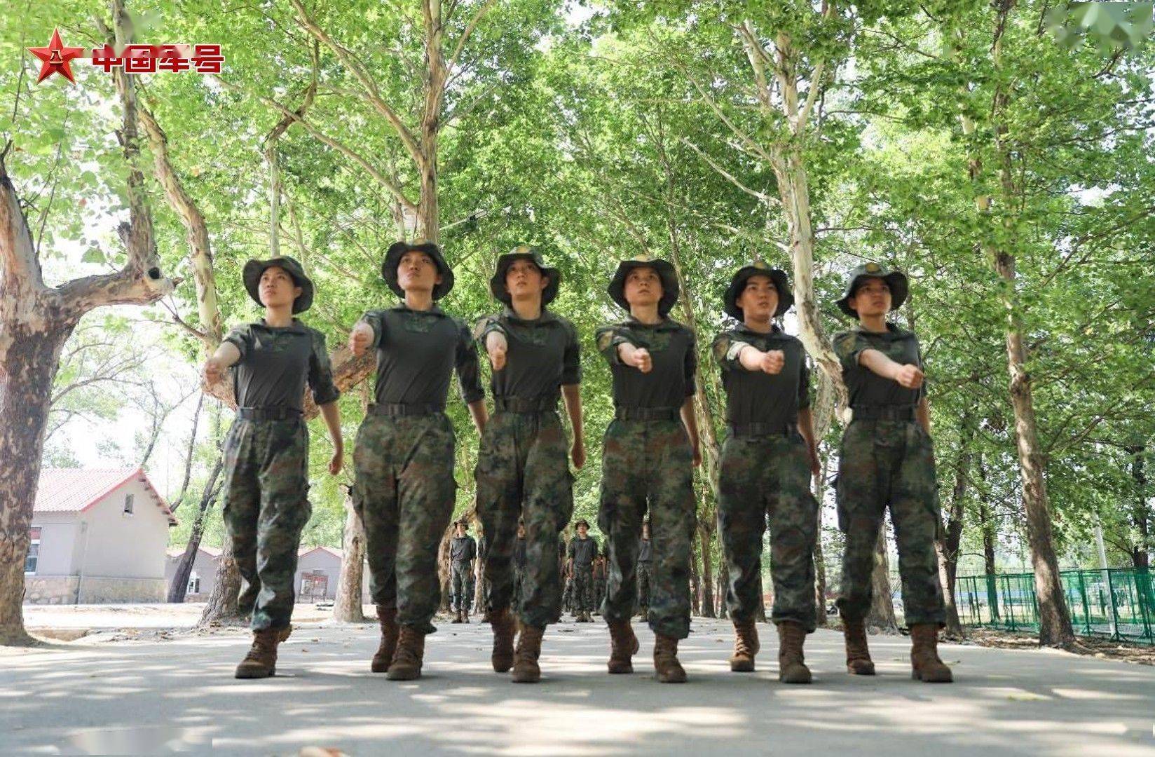 直击军营"新绿"的换羽蜕变_训练场_思想_军人