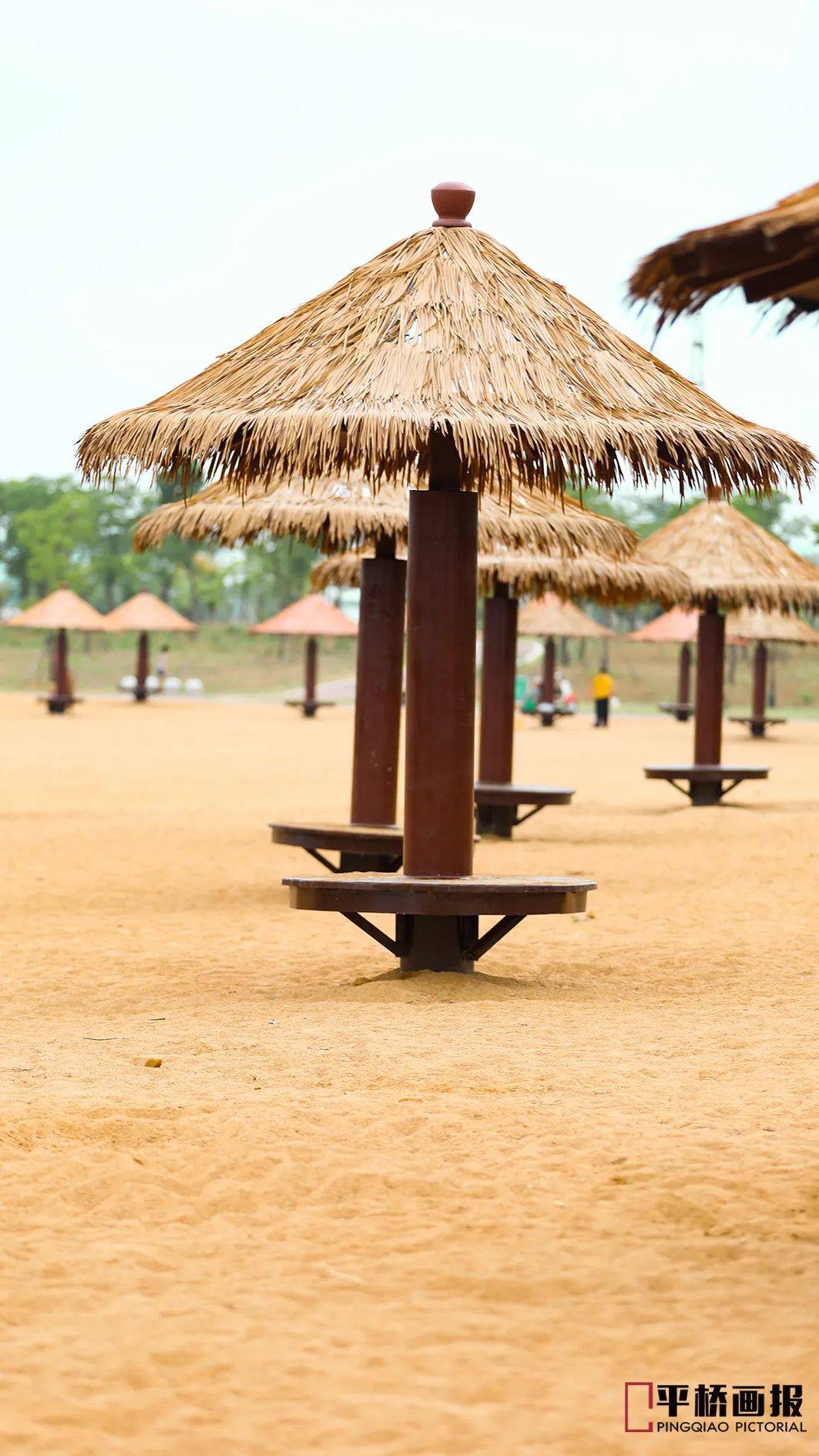 在阳光下闪着独特的温暖金黄波光粼粼的云和水静静地波动着阳光,沙滩