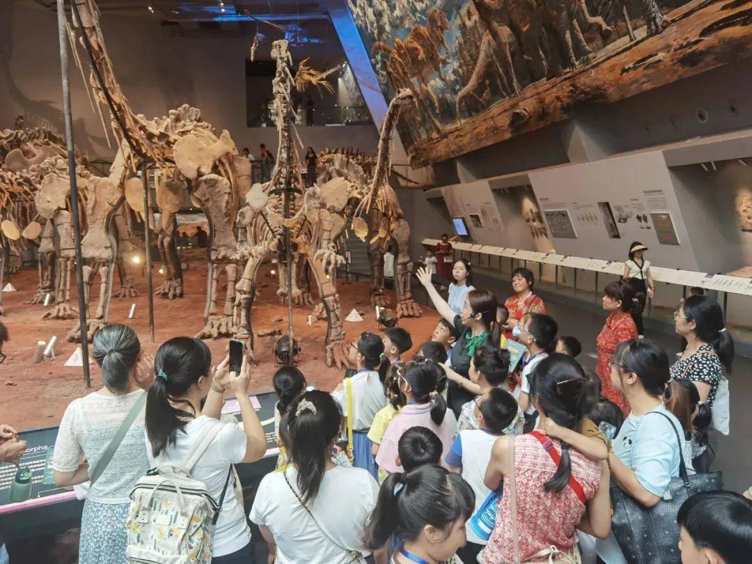 重庆自然博物馆化石小猎人户外化石体验活动通过化石挖掘,古生物