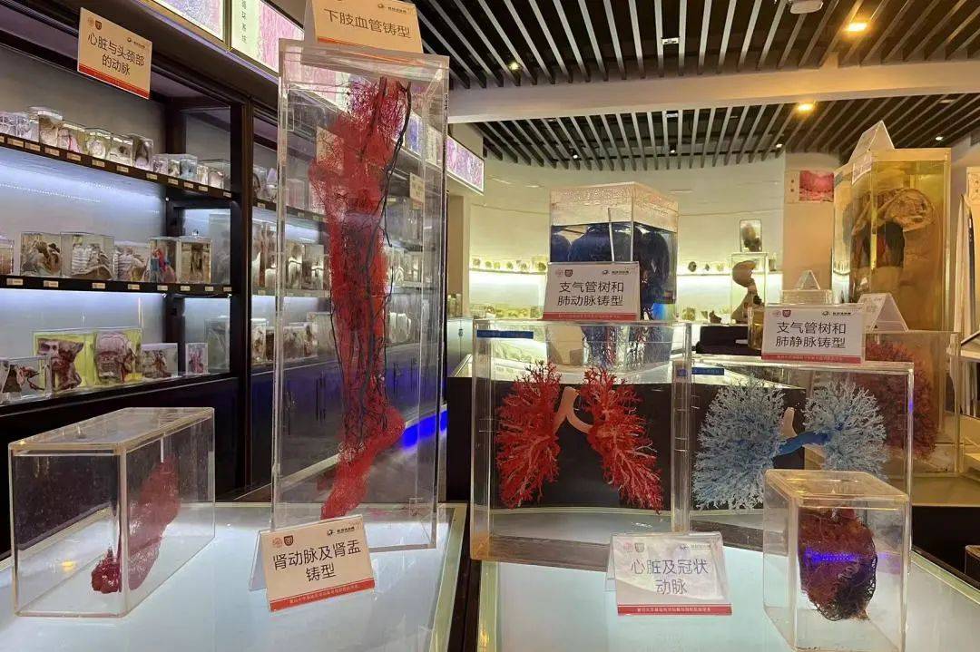 在这个科学馆里,每一个展品都像是一扇窗,透过它,我们可以看到生命的