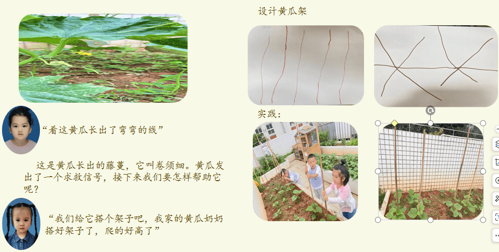 【游戏与课程】小四班主题探究活动——黄瓜"架"到