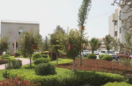 阿克塞记忆 | 忆县城 在风沙肆虐中建成绿洲阿克塞