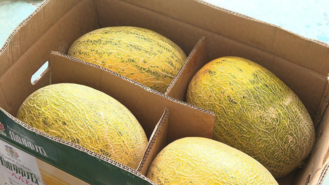 2024年第一批伽师瓜到达佛山