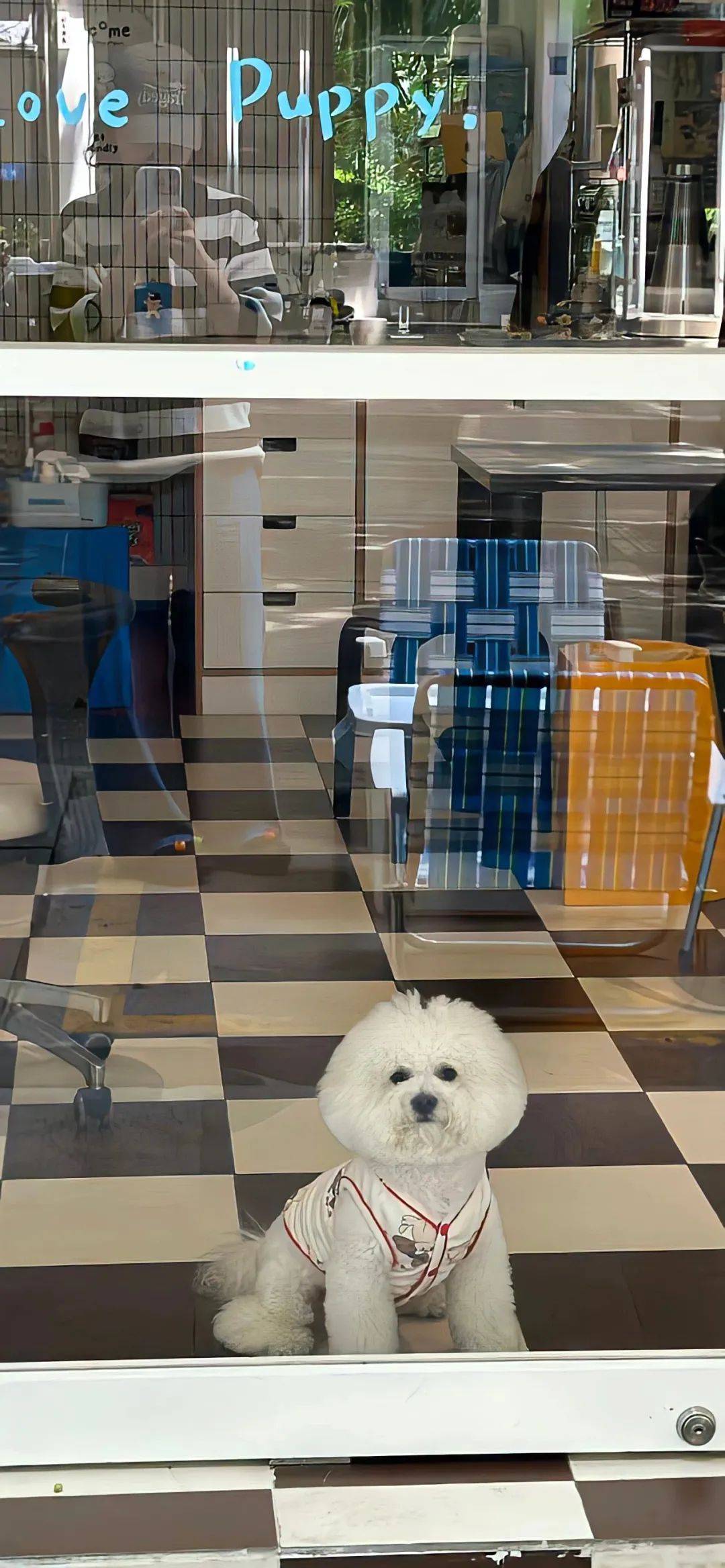 壁纸 | iphone 高质感壁纸(4k高清)