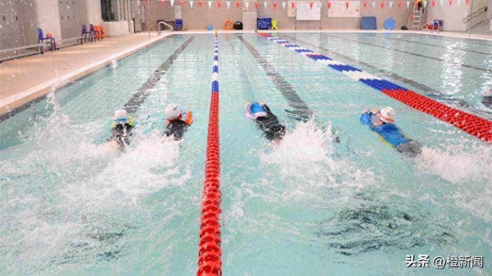 李家超:关注9岁泳手参赛事件,要求泳总务实探讨改善发展_游泳_香港