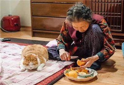 被奶奶带大的橘猫，这画风果然就是跟别人家的猫咪不太一样