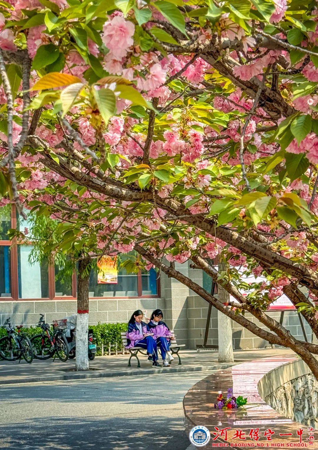 唐新建 《丁香花开》杨花翠 《花儿与少年》魏跃兴 《校园春色》老师