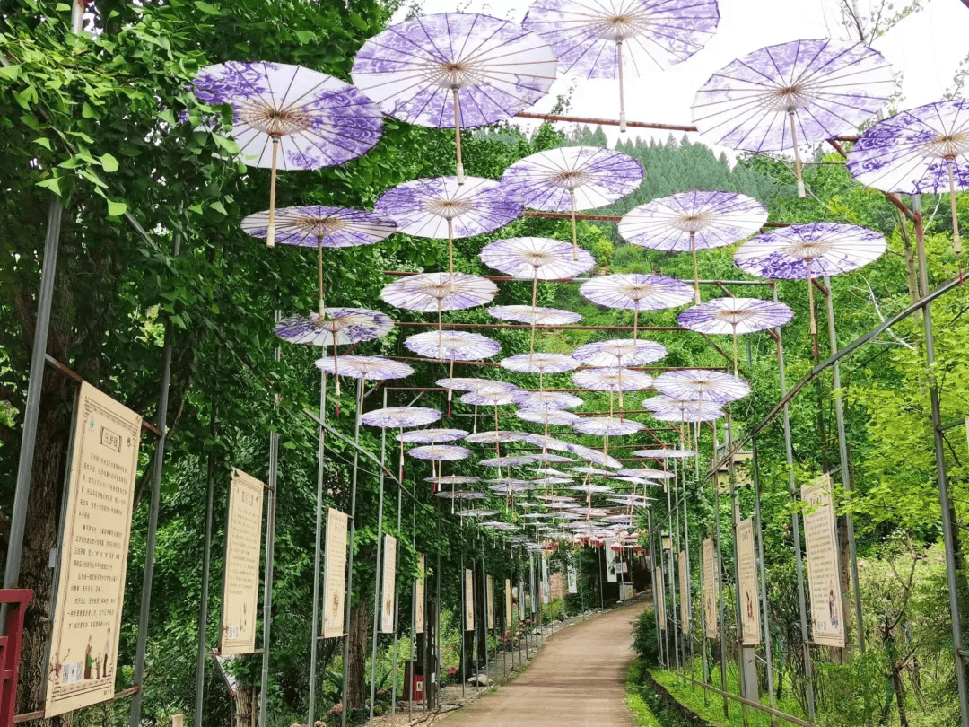 三伏天来临,在开州踏上一段惬意的乡村休闲旅程!