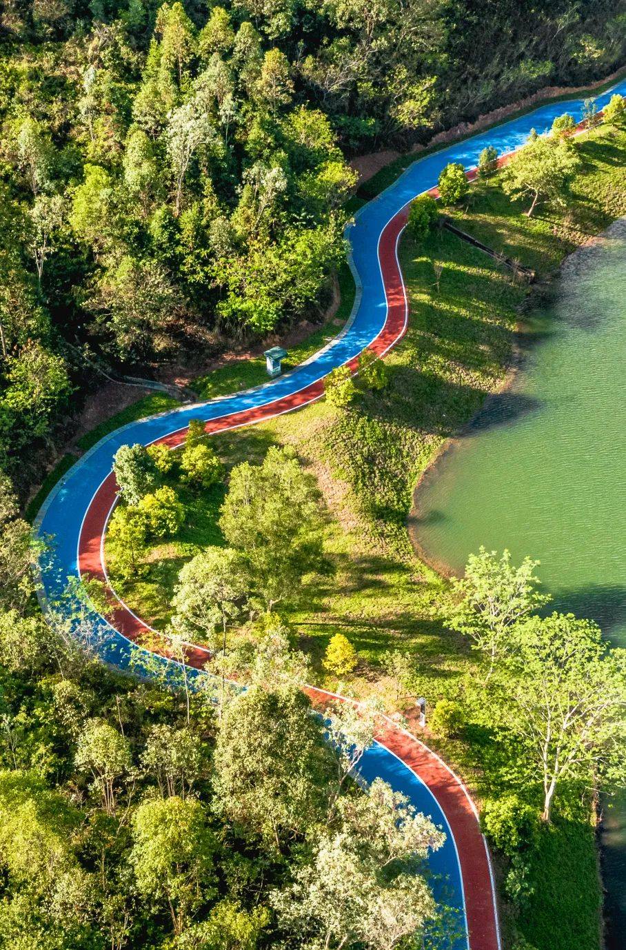 金鸡湖步道图片