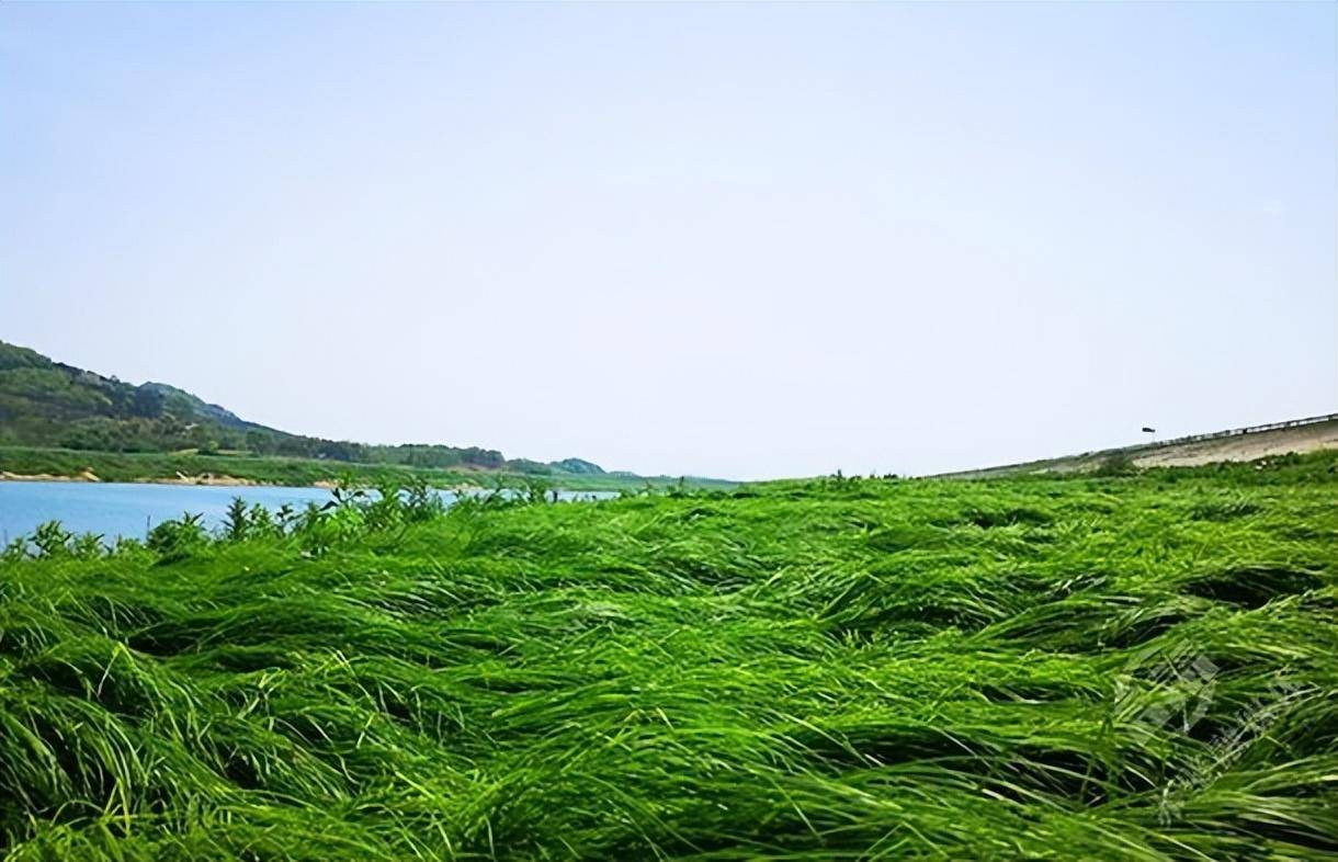 湖北赤壁:赤壁乡村六条徒步线路推荐,沿途皆是美景!