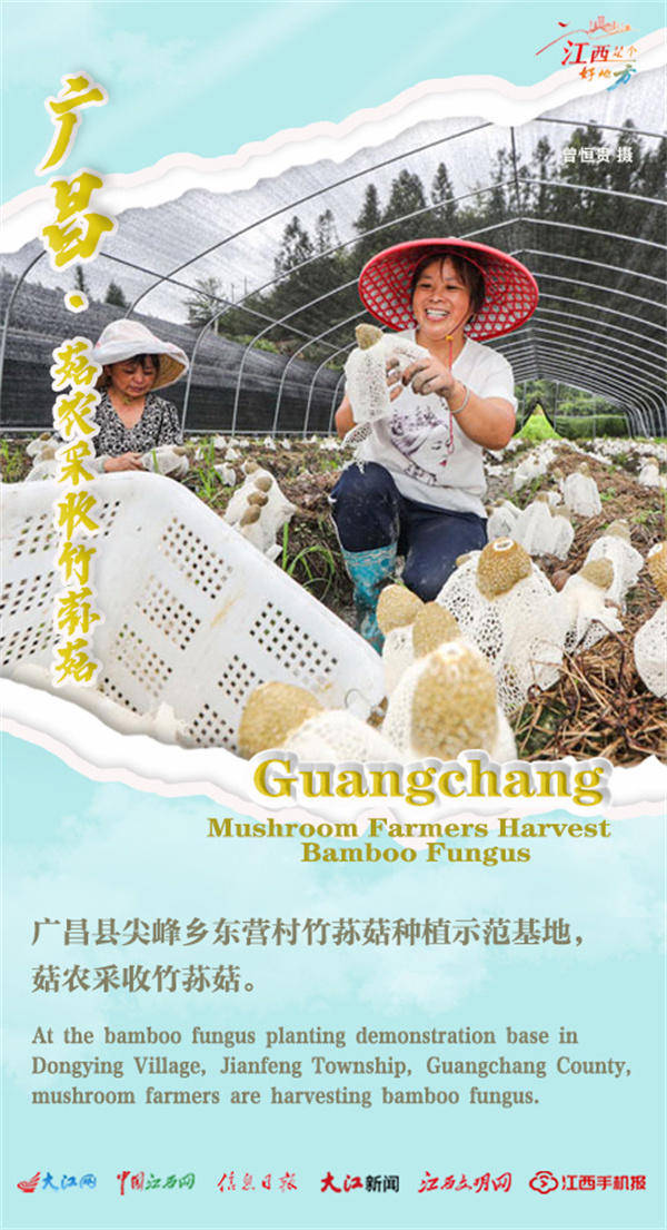 【双语海报】江西:"鱼米之乡"迎来夏日大丰收/the "land of fish and