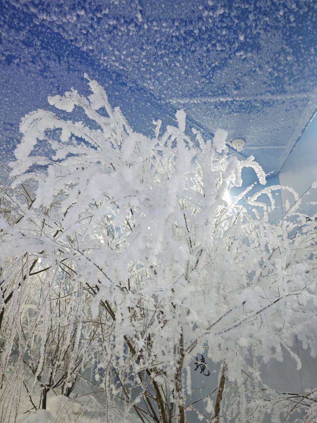 越野_滑雪场_雾凇