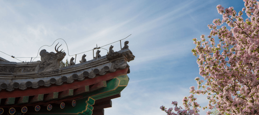 西安市内的古迹,包括秦始皇兵马俑,陕西省博物馆,大雁塔,慈恩寺,碑林