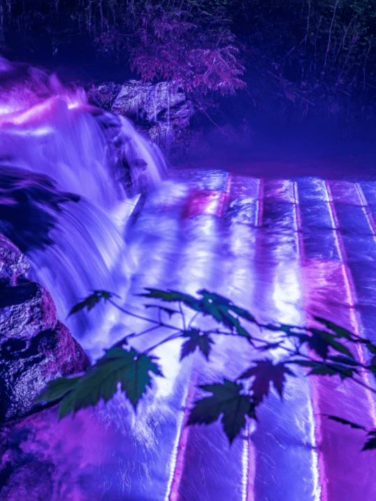 长白山必玩之奇幻森林光之舞