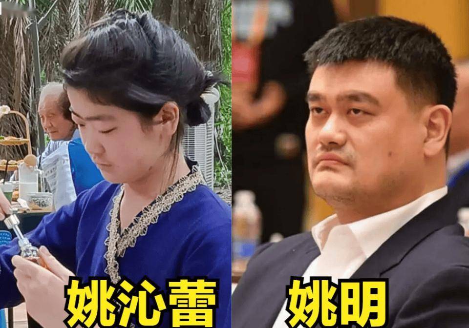 姚明老婆身高女儿图片