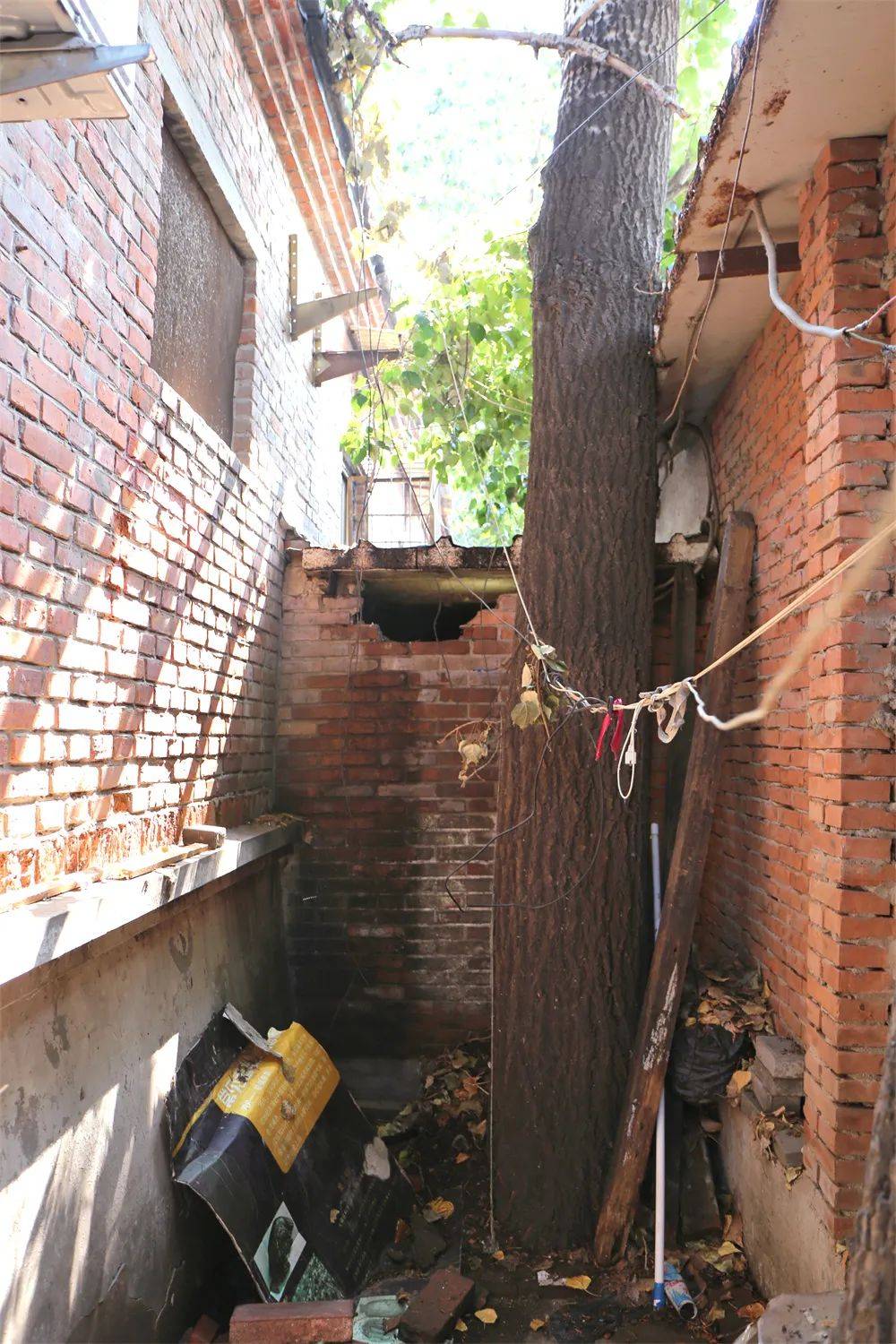 此处临时建筑目前用作洗漱间及储物间,因搭建年代较久,建筑已出现裂纹