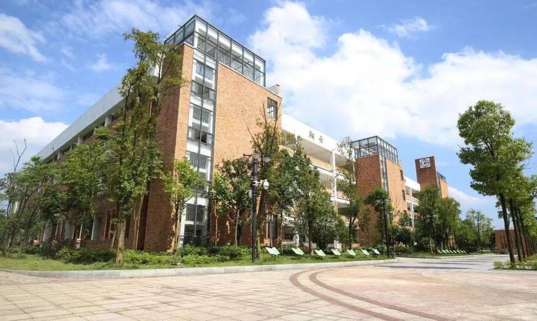 天元小学2024年秋季公开招聘编外合同制教师公告