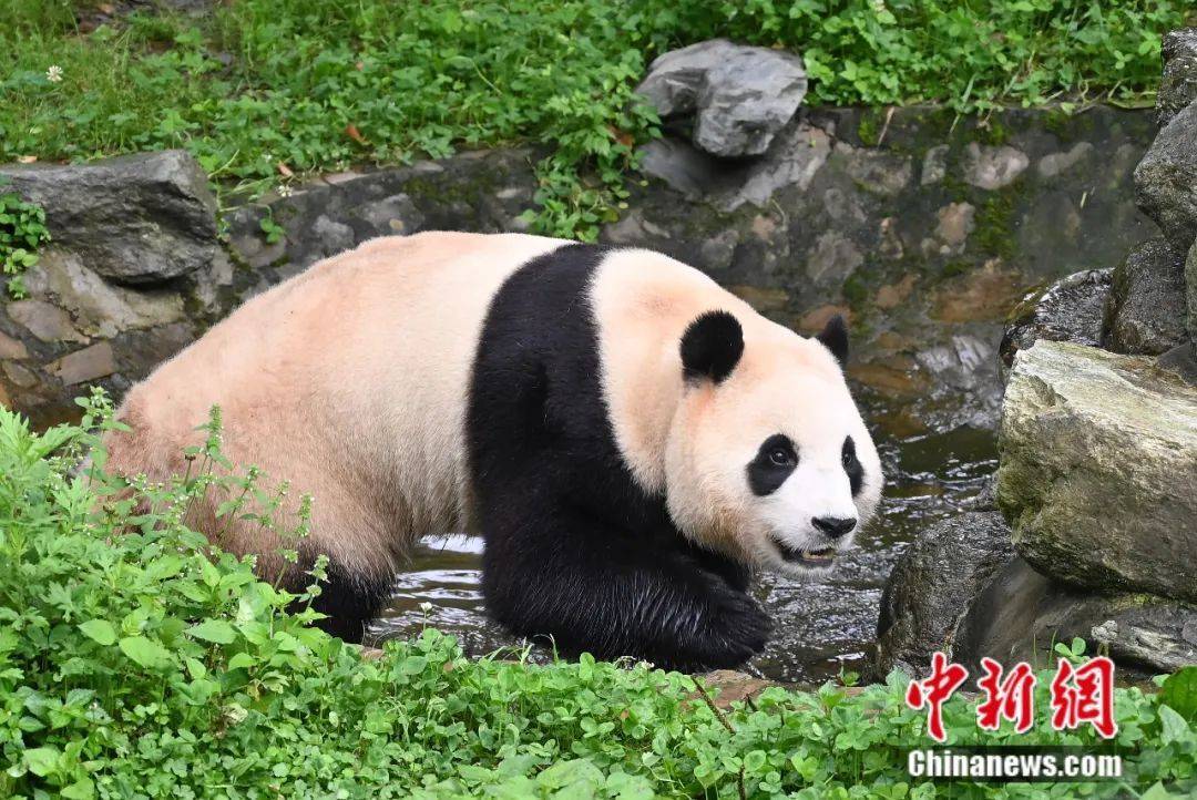 “顶流”生日，粉丝排长队祝福！