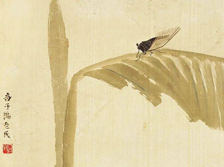 大暑,看齐白石画蝉