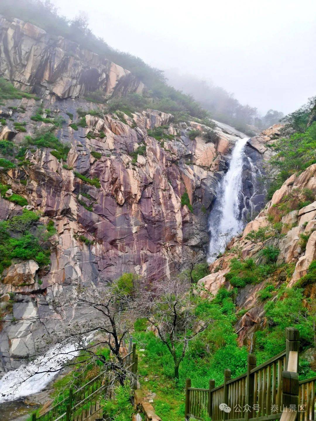 泰山天烛峰:群瀑争流 景色秀丽 (后附东御道恢复开放通知)