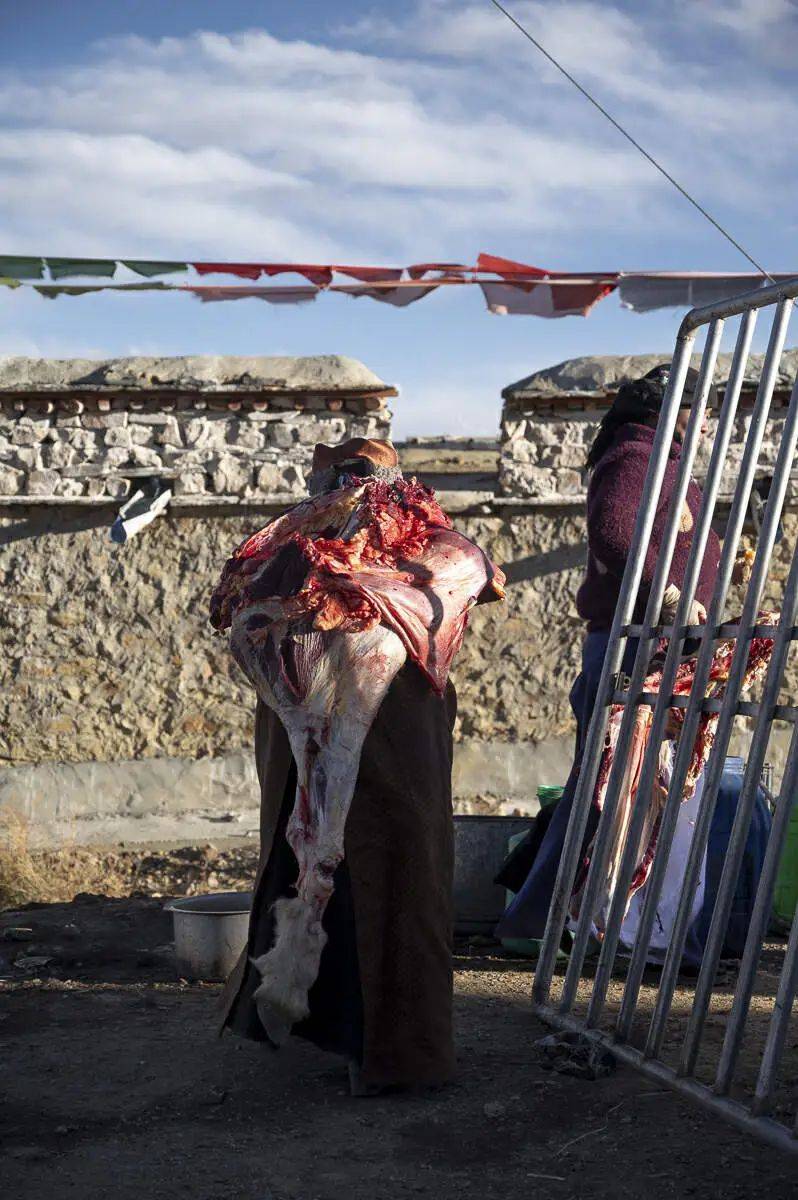 哲古镇:风,牛羊,发电机