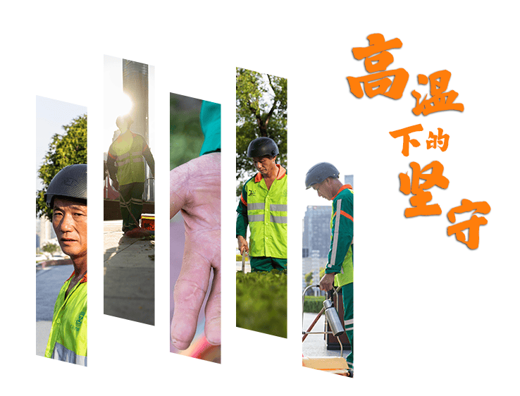 纵览新闻:管家婆2023资料精准24码-城市：扬州：“还绿行动”让城市更美好  第1张