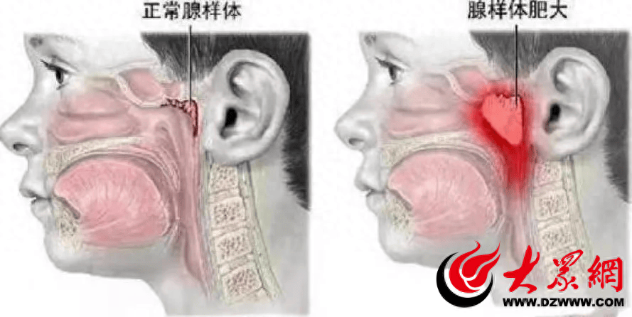 中国水运网 🌸2024年澳门天天彩免费资料🌸|中新健康｜多项医药创新成果亮相2024服贸会  第5张