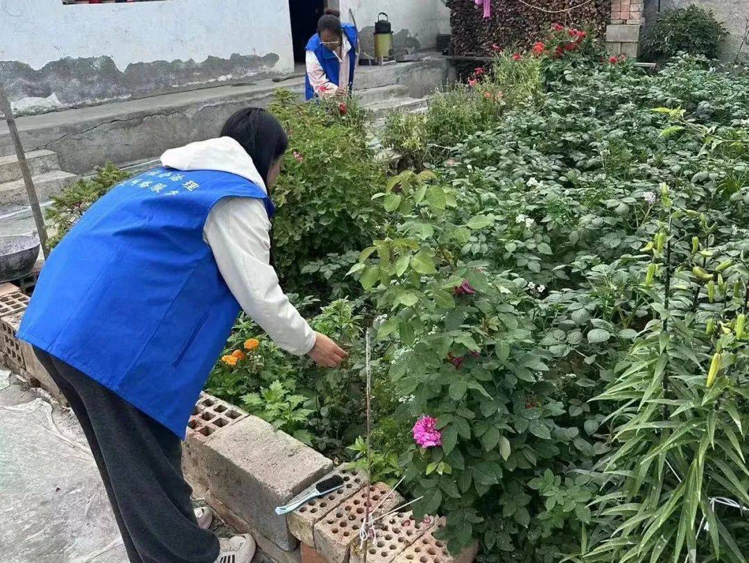 为全面贯彻落实禁种铲毒踏查"清园"行动,有效遏制非法种植毒品原植物